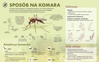 Zdjęcie do Spos&oacute;b na komara
